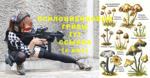 гашиш Ивантеевка