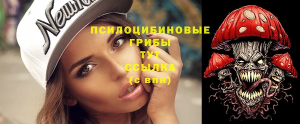 винт Саяногорск