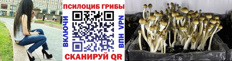 Псилоцибиновые грибы MAGIC MUSHROOMS  Киренск 